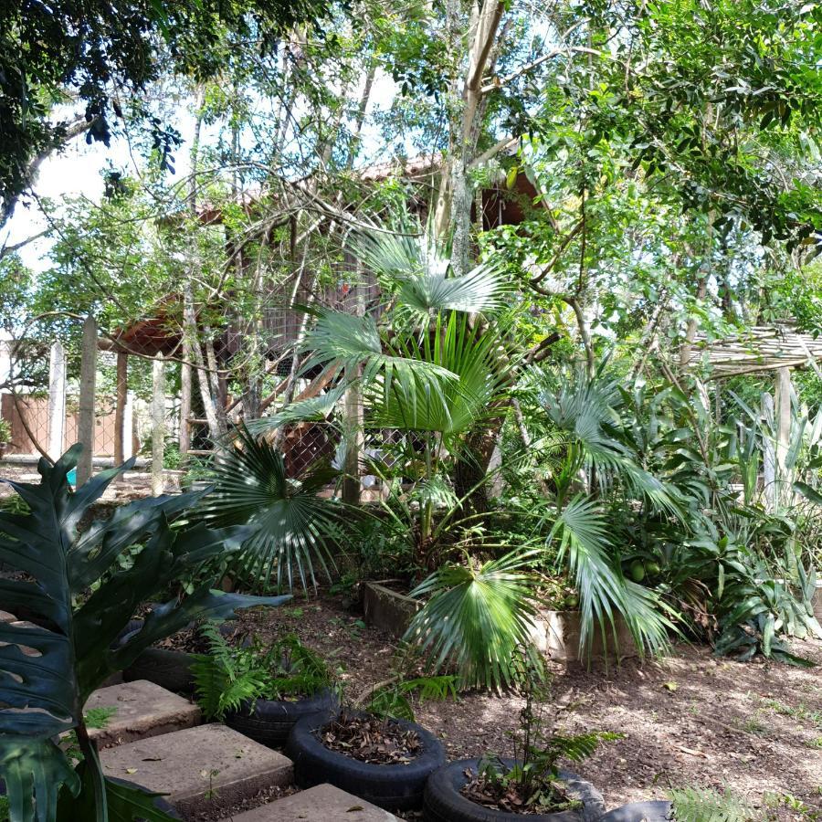Cantinho Do Ceu - Espaco Ecologico Sao Pedro  Luaran gambar